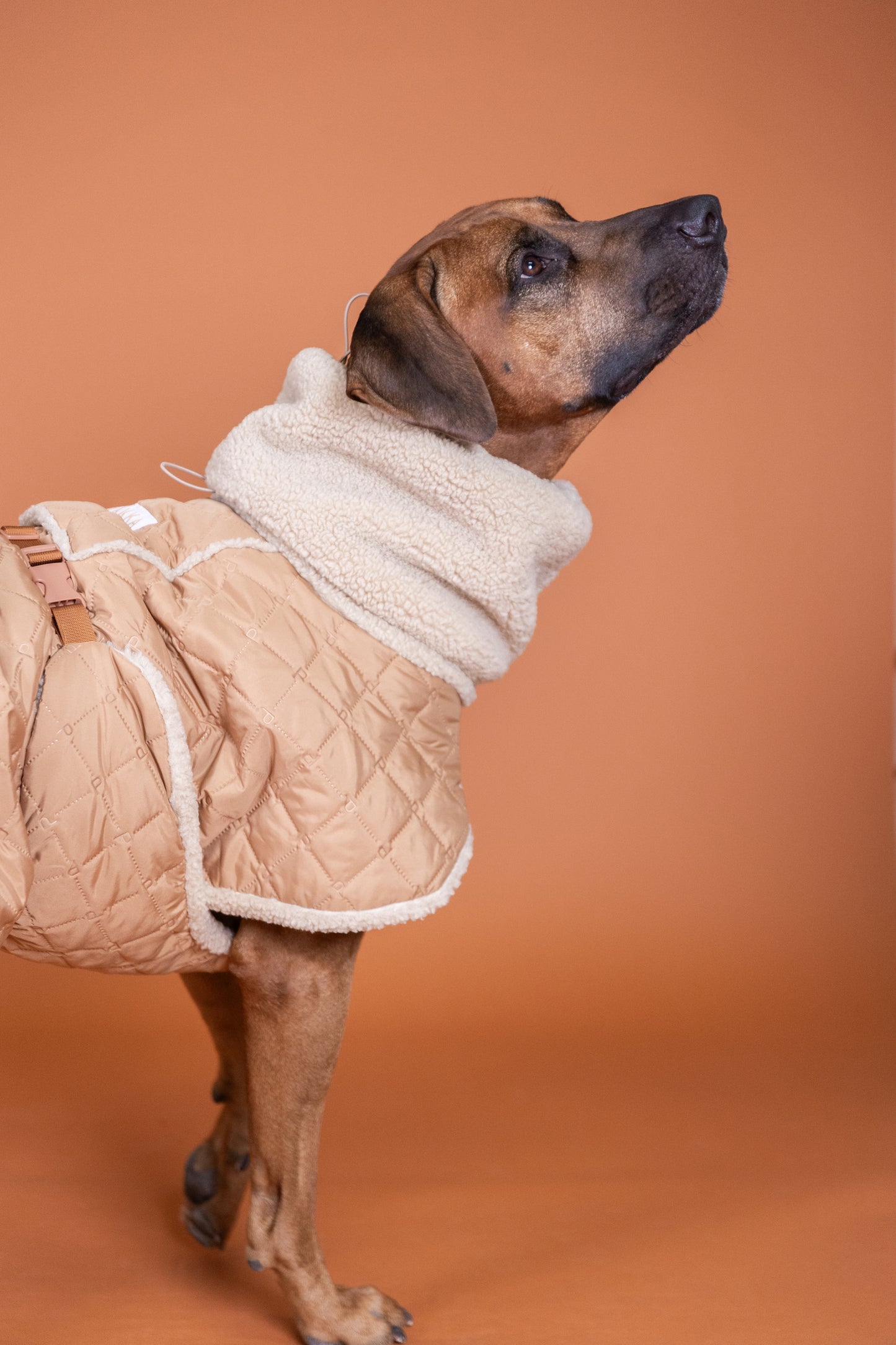 PAIKKA Sherpa Hundesteppjacke Camel