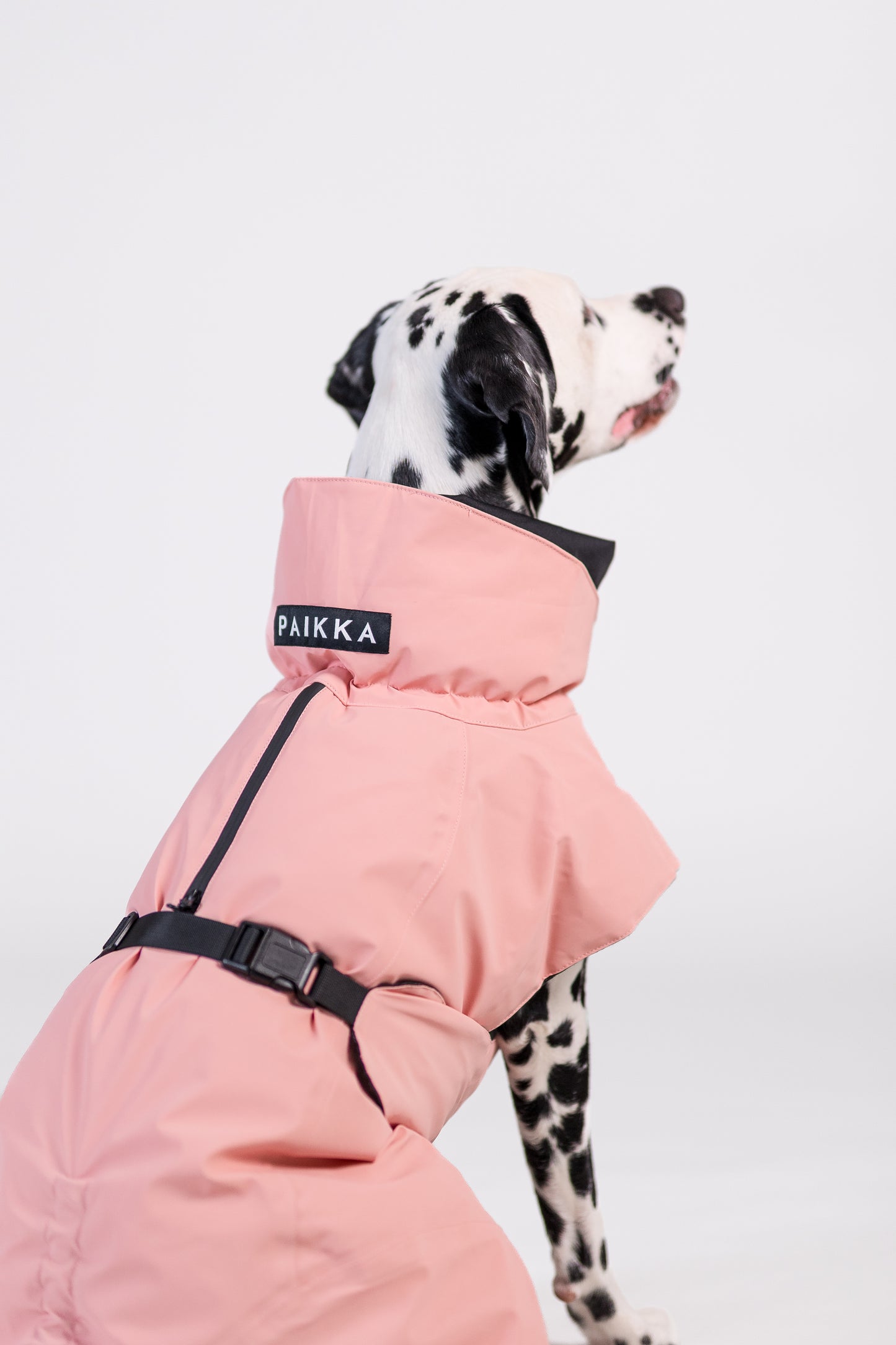 PAIKKA Visibility Hundewinterjacke Wool Rose