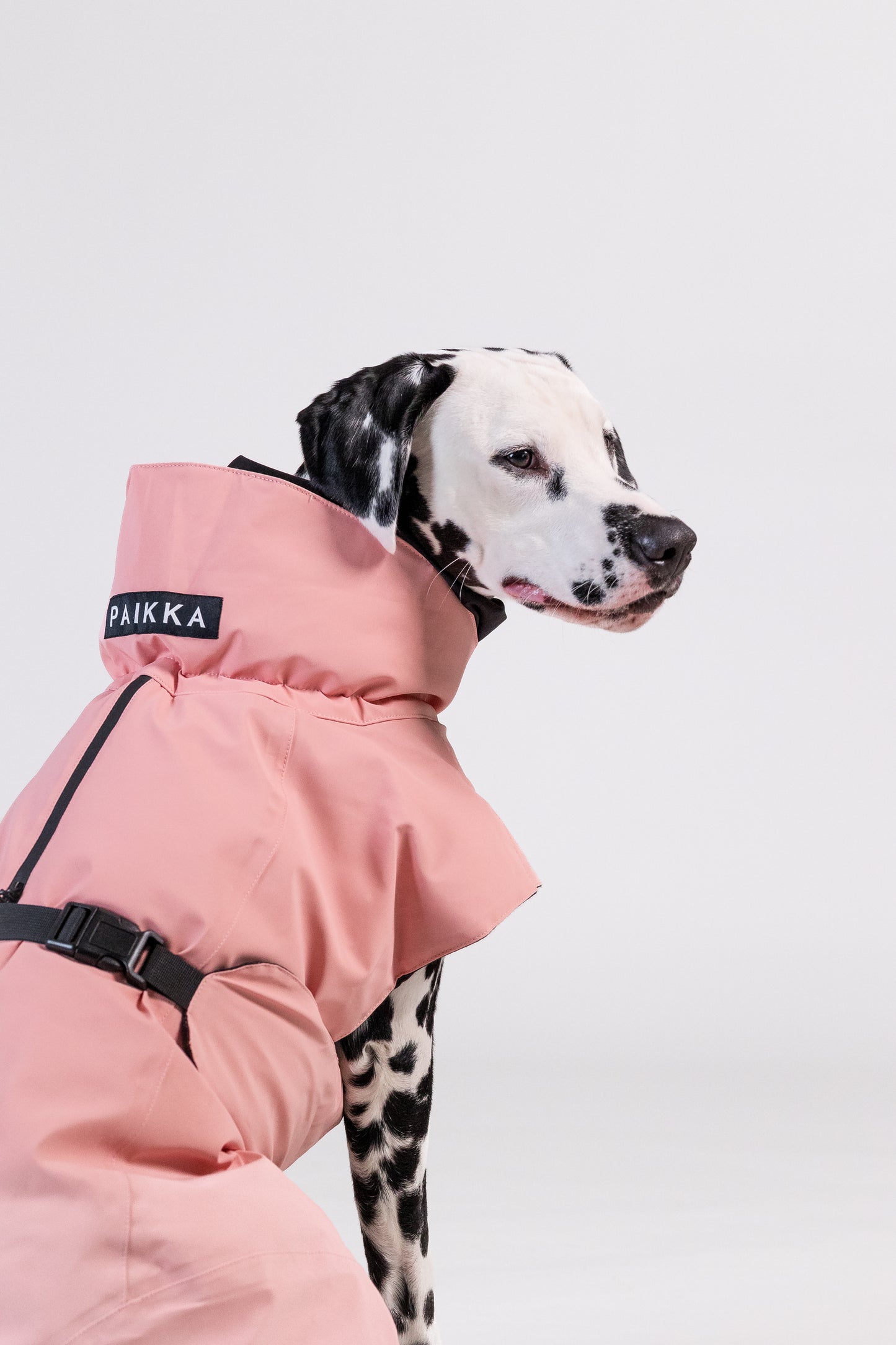 PAIKKA Visibility Hundewinterjacke Wool Rose