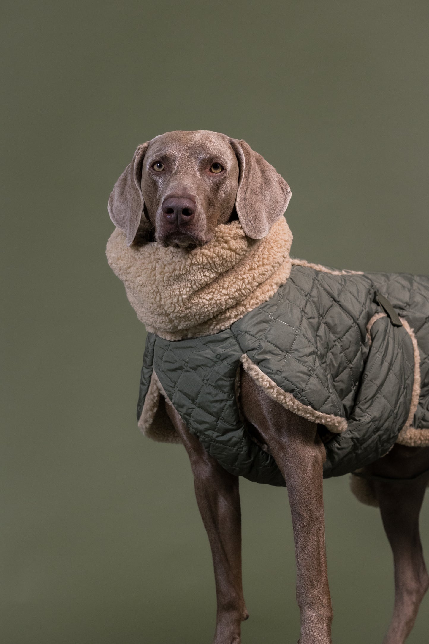 PAIKKA Sherpa Hundesteppjacke Olive