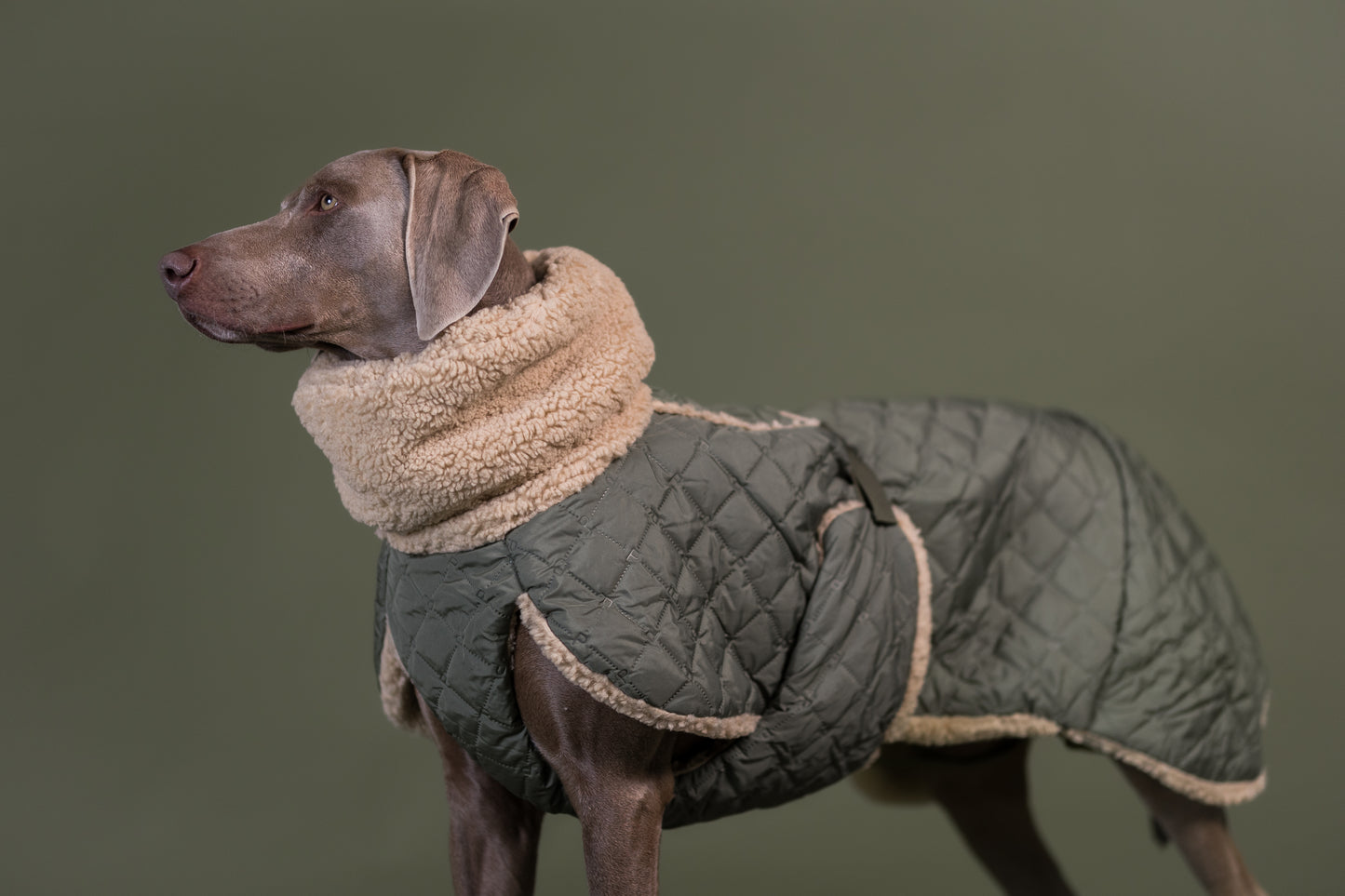 PAIKKA Sherpa Hundesteppjacke Olive