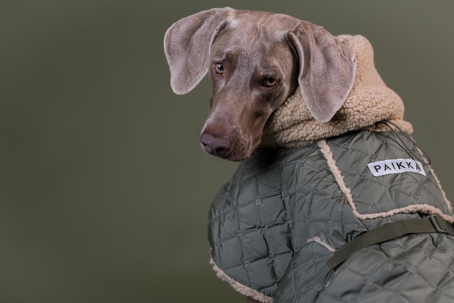 PAIKKA Sherpa Hundesteppjacke Olive