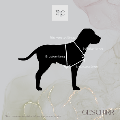 Passion Biothane Geschirr - selber erstellen