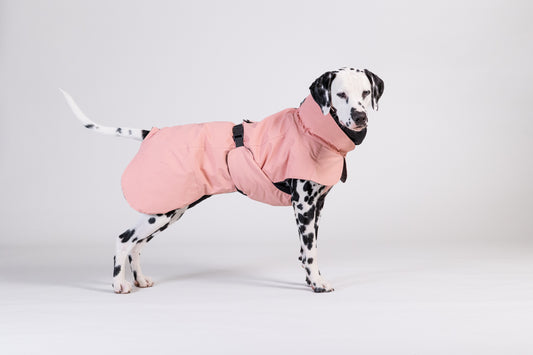 PAIKKA Visibility Hundewinterjacke Wool Rose