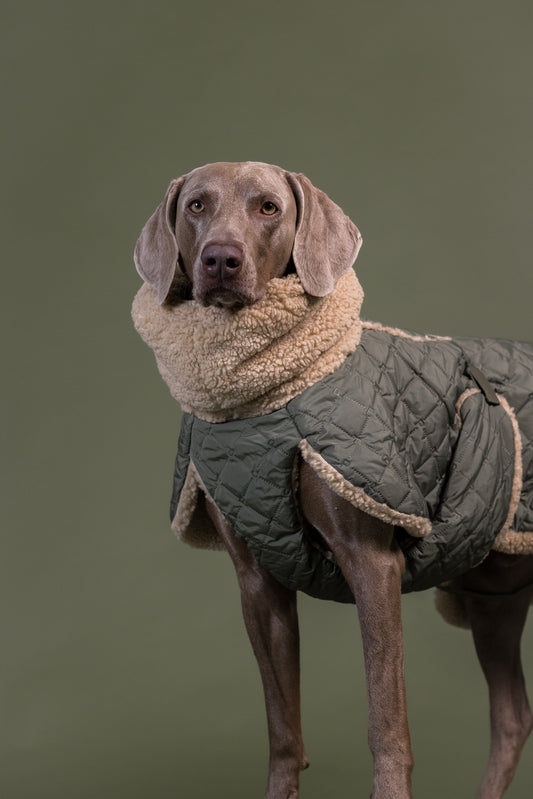 PAIKKA Sherpa Hundesteppjacke Olive