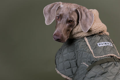 PAIKKA Sherpa Hundesteppjacke Olive