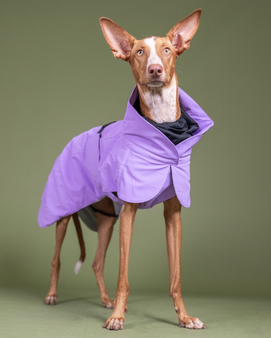 PAIKKA Hochreflektierende Hundewinterjacke Lila