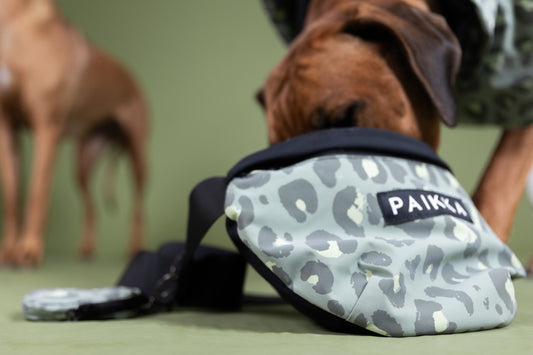 PAIKKA Visibility Leckerliebeutel Green Leo