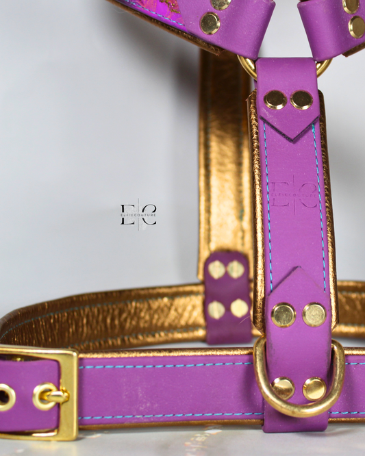 Passion Biothane Geschirr - selber erstellen