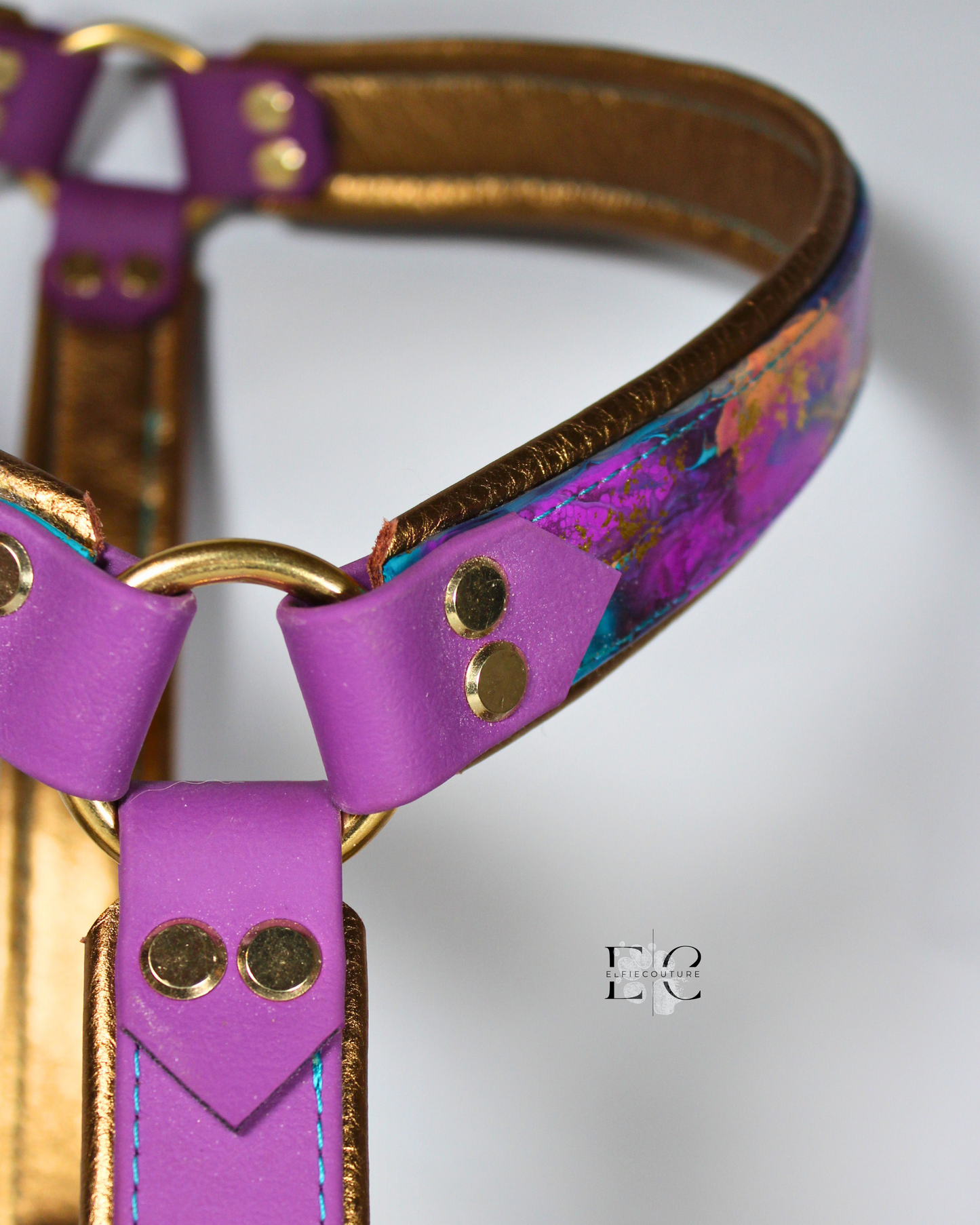 Passion Biothane Geschirr - selber erstellen