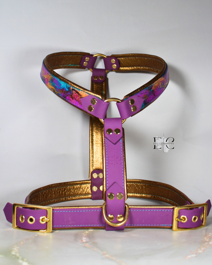 Passion Biothane Geschirr - selber erstellen