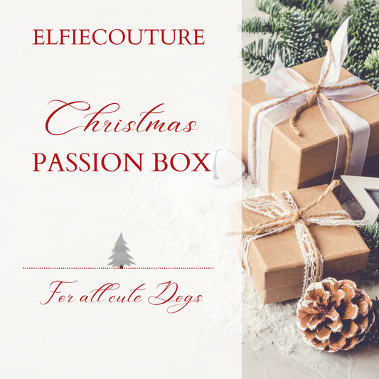 Christmas Passion Box